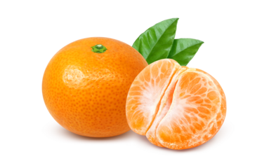 みかんのイラスト リアル ミカン