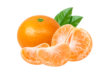 みかんのイラスト リアル ミカン