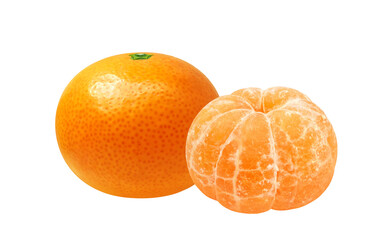 みかんのイラスト リアル ミカン