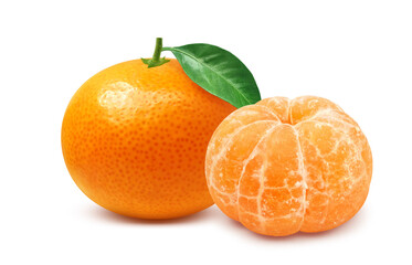 みかんのイラスト リアル ミカン