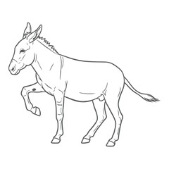 Obraz premium Vector art of donkey standing on a