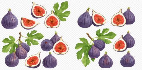 A collection of illustrated ripe purple figs, shown whole, sliced in half, and on branches with green leaves.
