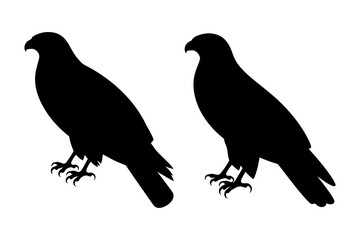 silhouette of  hawk birds of prey, symbolizing freedom and power