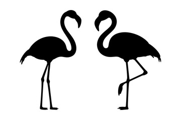 elegant flamingo silhouette pose gracefully