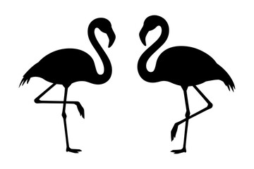 elegant flamingo silhouette pose gracefully