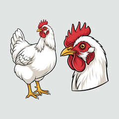 Chicken Illustration Fullbody and Close-up