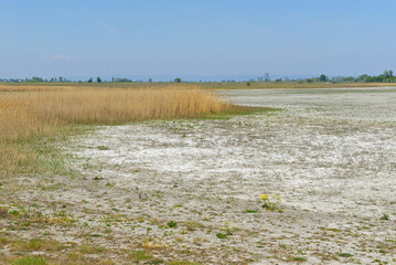Global warming caused by climate change caused dryed Salt Lake Lange Lacke  in springtime 2020....