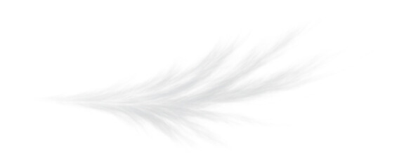 Thin, streaky cirrus cloud with a wispy, high-altitude look