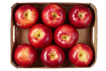 red apples in a basket