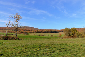 Obraz premium On a winding road.