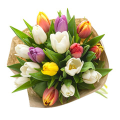 Fototapeta premium bouquet of tulips isolated on white