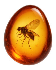 Smooth orange amber with insect inclusion