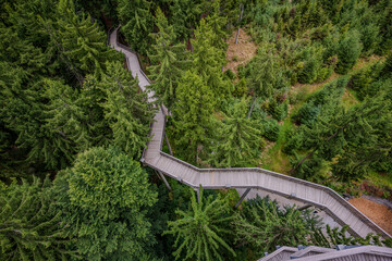 Schöne Wanderwege durch dichte Wälder in einer bergigen Region
