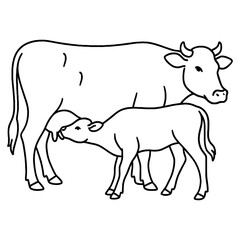 Mother cow feeding her calf animal farm