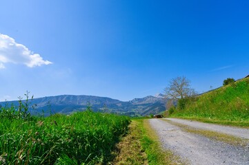 Fototapeta premium Basque mountains in the valley of Aramayona in the Basque Country