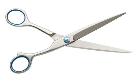 Isolated Silver Hair Cutting Scissors