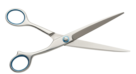 Isolated Silver Hair Cutting Scissors