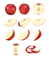 A Set of Red Apple Illustrations, Including Whole, Slices, and a Core