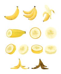 A Set of Banana Illustrations Showing Various Forms, Including Slices and a Peeled Banana.