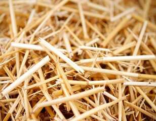 Close-up of dried straw