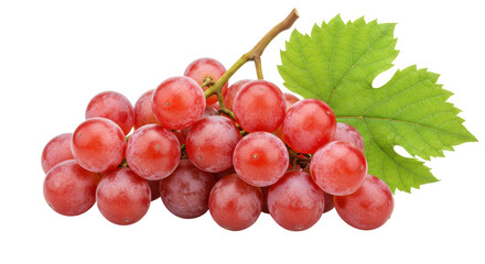 Isolated Bunch of Red Grapes