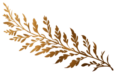 PNG Rosemary plant graphics pattern.