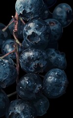 A detailed illustration of a blueberry branch on a dark background, with each berry and leaf meticulously drawn, creating realistic texture and depth.