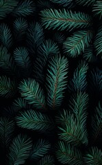 A realistic, highly detailed illustration of green fir tree branches on a dark background, with meticulously drawn needles creating natural texture and depth.