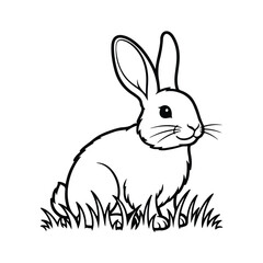 Black and white line drawing of a rabbit sitting in grass bunny animal