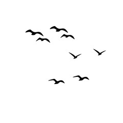 "Vector birds flying in flock, geese silhouettes triangle design, autumn sky postcard illustration, greeting card monochrome artistic style."