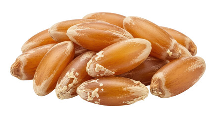 Isolated Pile of Date Seeds