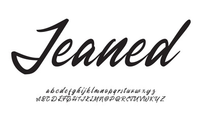 Jeaned Signature Font Uppercase Lowercase And Number. Script Font Calligraphy Logotype  elegant Font Type Font lettering handwritten. vector illustration  
