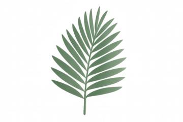 3d rendering of a single green tropical palm leaf isolated on a transparent background, perfect for summer or jungle-themed designs
