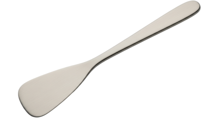 Isolated Metal Spatula