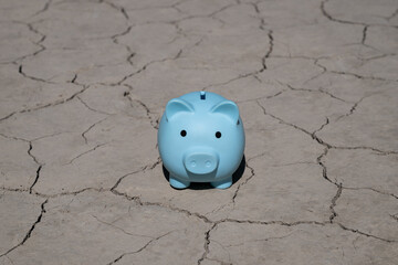 A piggy bank on the clay cracked by the heat in the desert