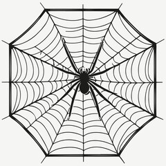 Fototapeta premium spider web sketch illustration vector