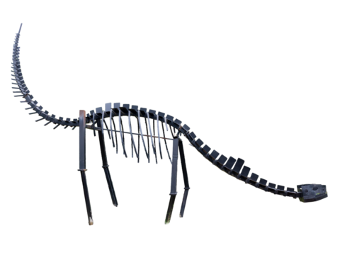 A dinosour skeleton with a metal spine and a bone vector illustration