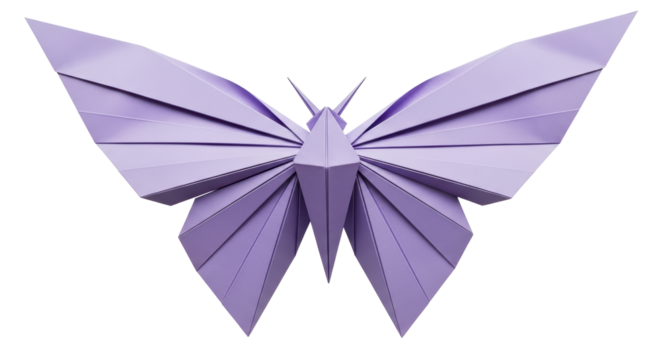 Isolated Origami Butterfly