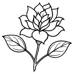 Minimal Vintage Botanical Line Art Vector Illustration on White Background