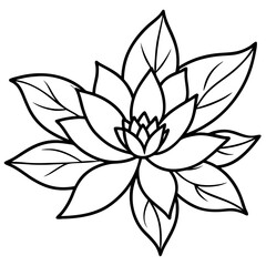 Fototapeta premium Minimal Vintage Botanical Line Art Vector Illustration on White Background