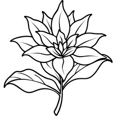 Minimal Vintage Botanical Line Art Vector Illustration on White Background