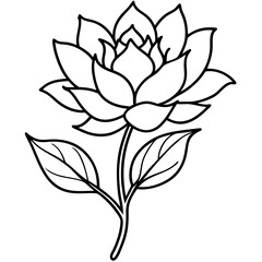 Minimal Vintage Botanical Line Art Vector Illustration on White Background