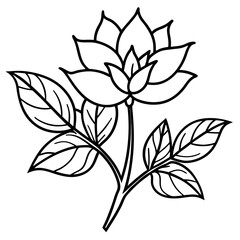 Minimal Vintage Botanical Line Art Vector Illustration on White Background