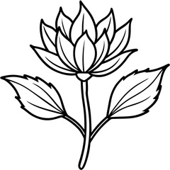 Elegant Hand-Drawn Botanical Plant Line Art Vintage Vector Design Isolated on White