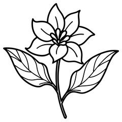 Elegant Hand-Drawn Botanical Plant Line Art Vintage Vector Design Isolated on White