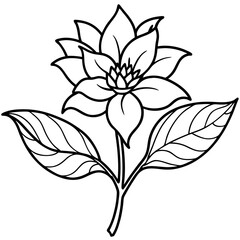 Elegant Hand-Drawn Botanical Plant Line Art Vintage Vector Design Isolated on White