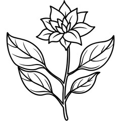 Elegant Hand-Drawn Botanical Plant Line Art Vintage Vector Design Isolated on White