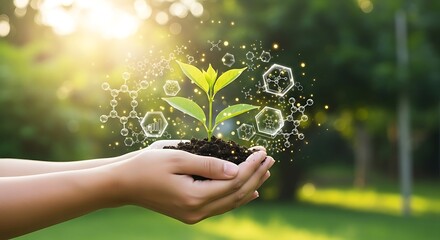 Hands holding a small plant with glowing molecules and light