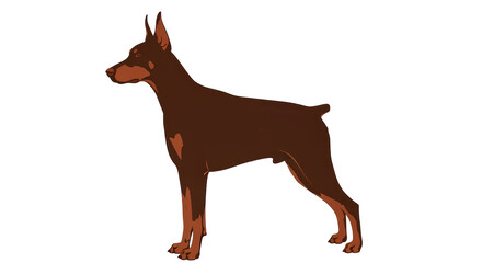 Isolated Doberman Dog Illustration