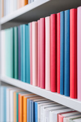 A vibrant display of neatly arranged books with colorful spines on a shelf, showcasing a variety of hues.